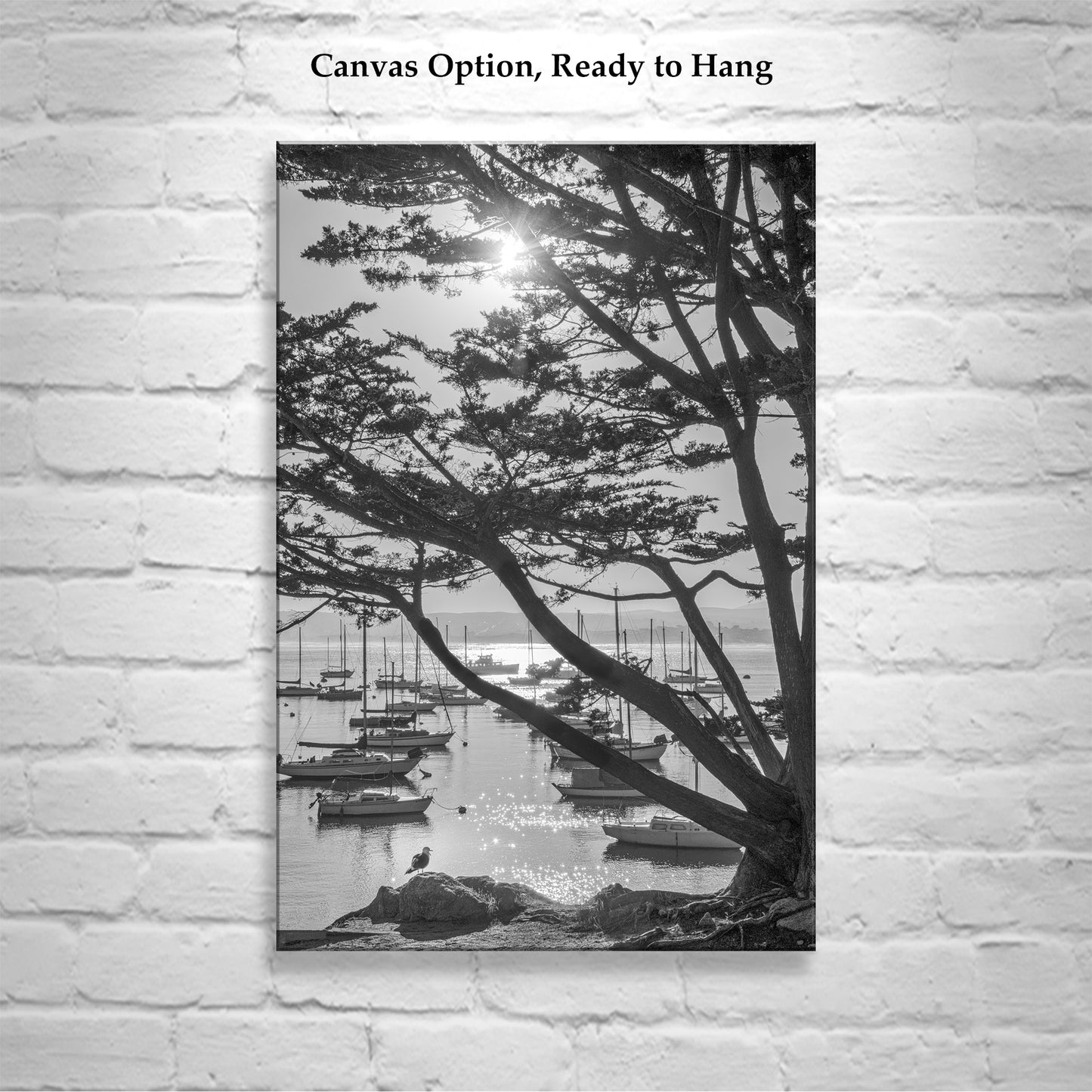 Black & White Monterey Bay California Photography Print