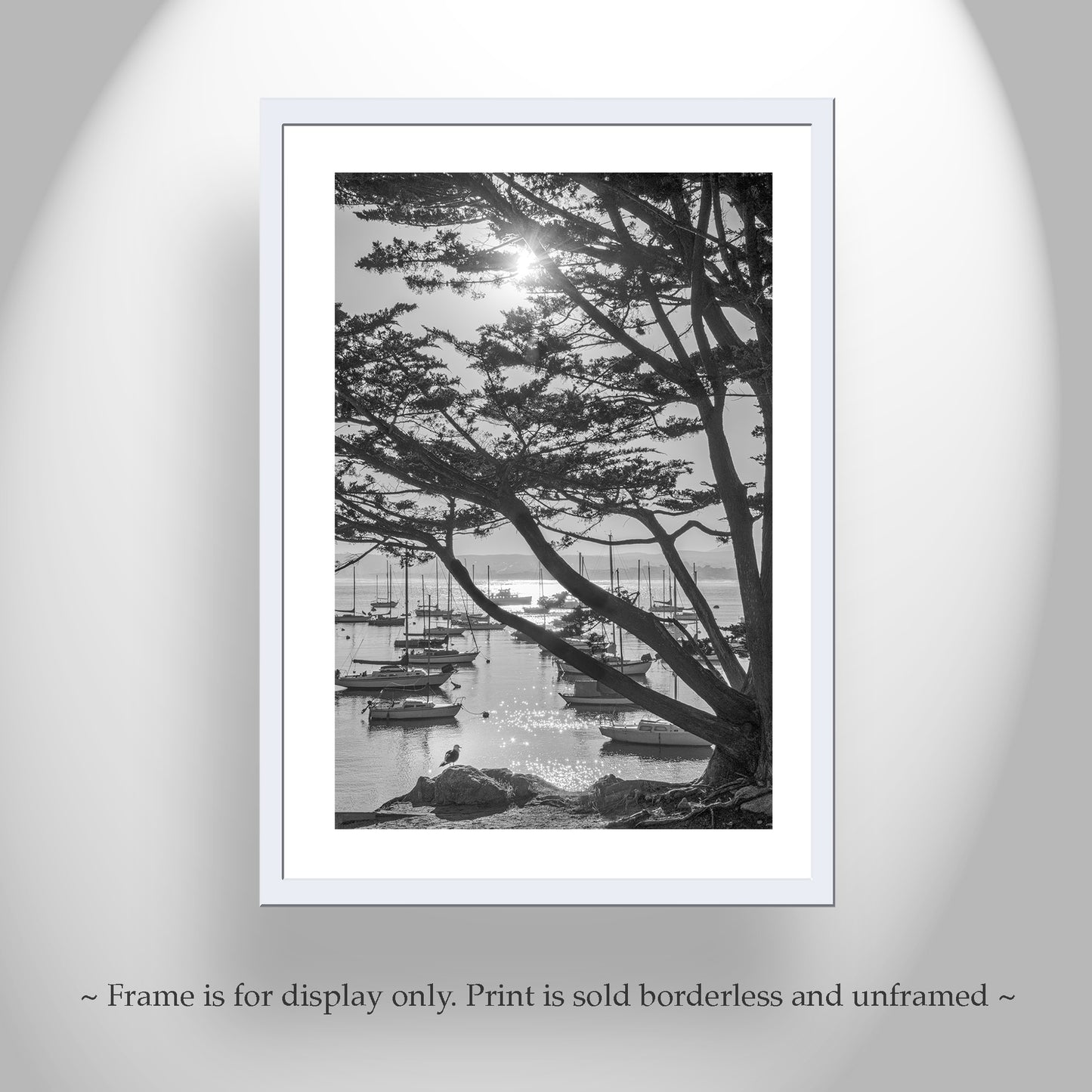 Black & White Monterey Bay California Photography Print