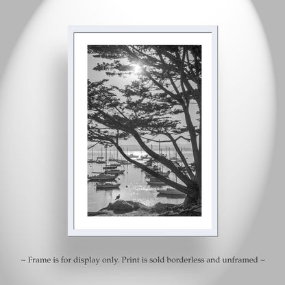 Black & White Monterey Bay California Photography Print