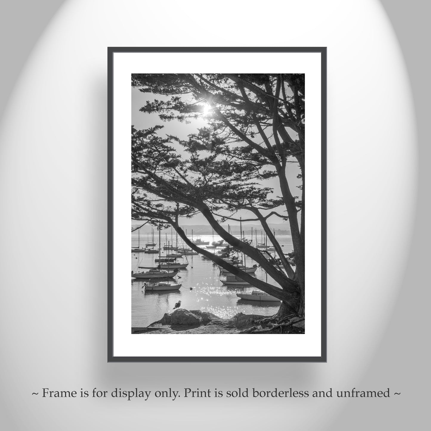 Black & White Monterey Bay California Photography Print