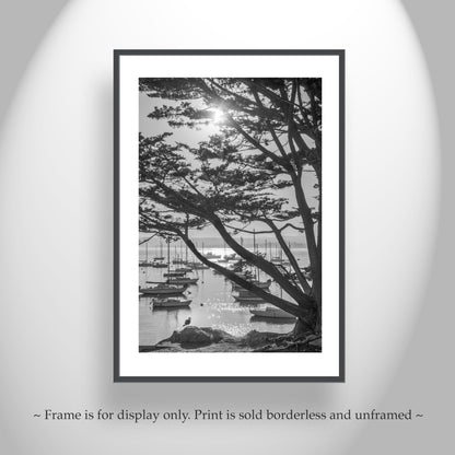 Black & White Monterey Bay California Photography Print