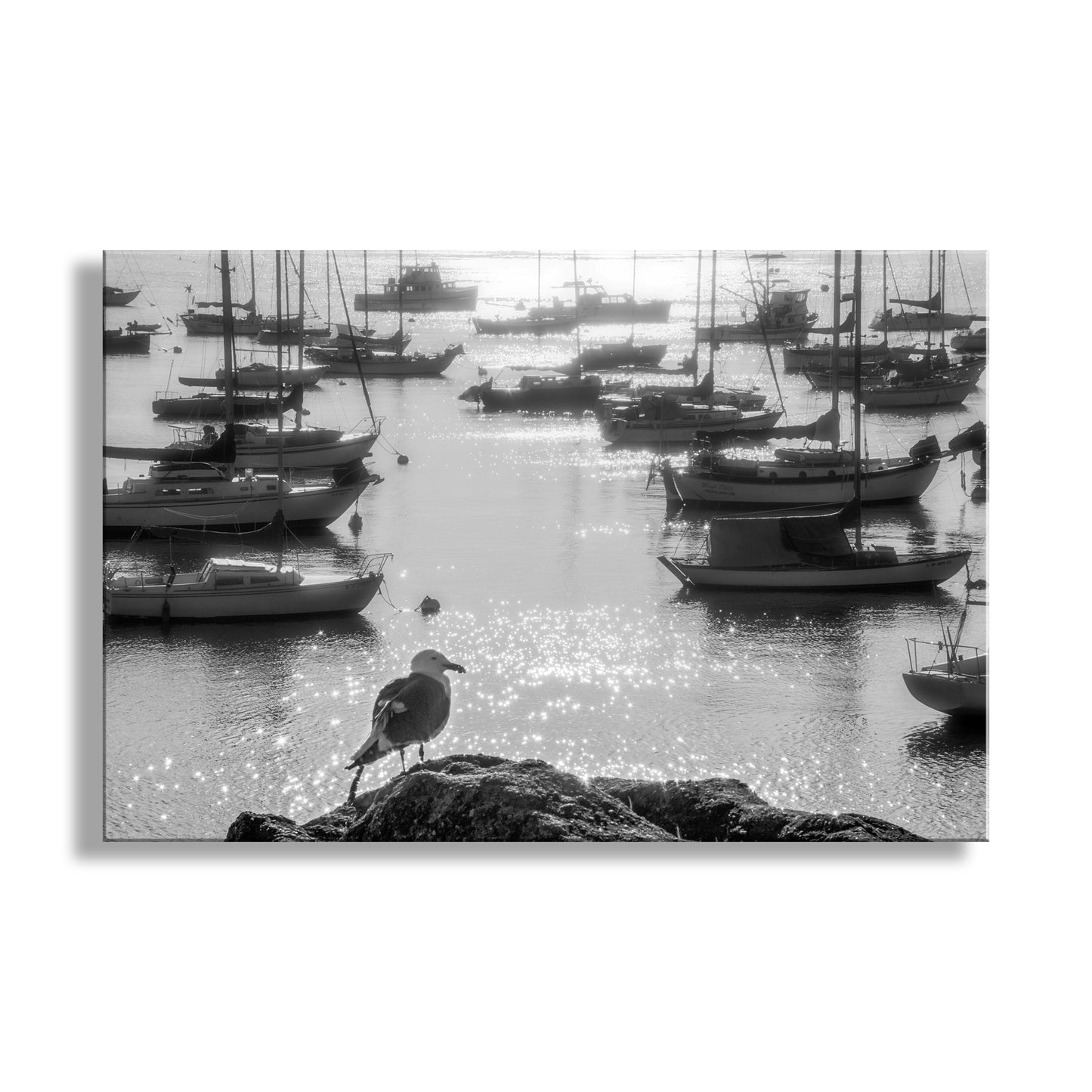 Black and white scene of a harbor with boats and a bird on rocks. Monterey Bay Marina Art Print with Sailboats as Nautical Home Decor in Black & White