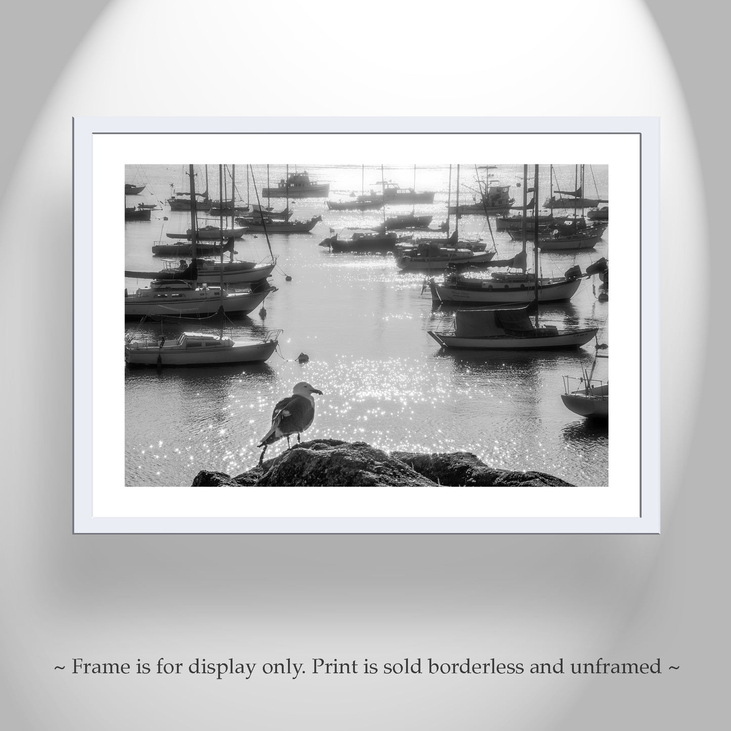 Monterey Bay Marina Art Print with Sailboats as Nautical Home Decor in Black & White