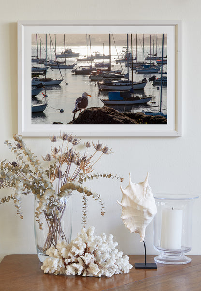 Monterey Bay Marina Art Print with Sailboats as Wall Decor | Golden Sunrise