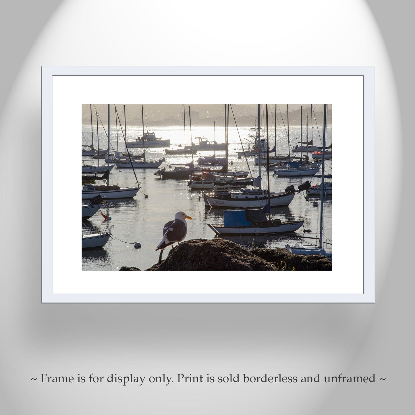 Monterey Bay Marina Art Print with Sailboats as Wall Decor | Golden Sunrise