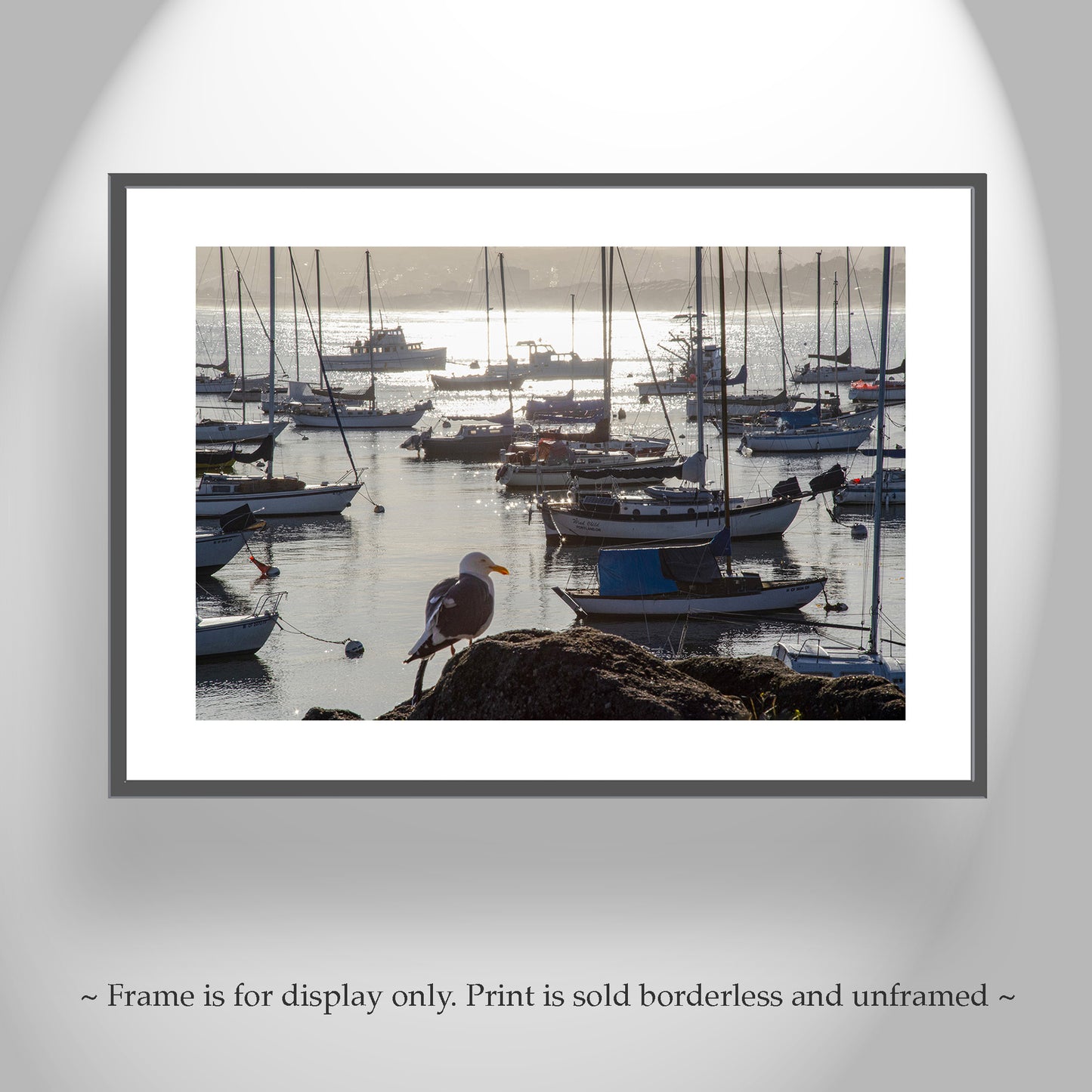 Monterey Bay Marina Art Print with Sailboats as Wall Decor | Golden Sunrise
