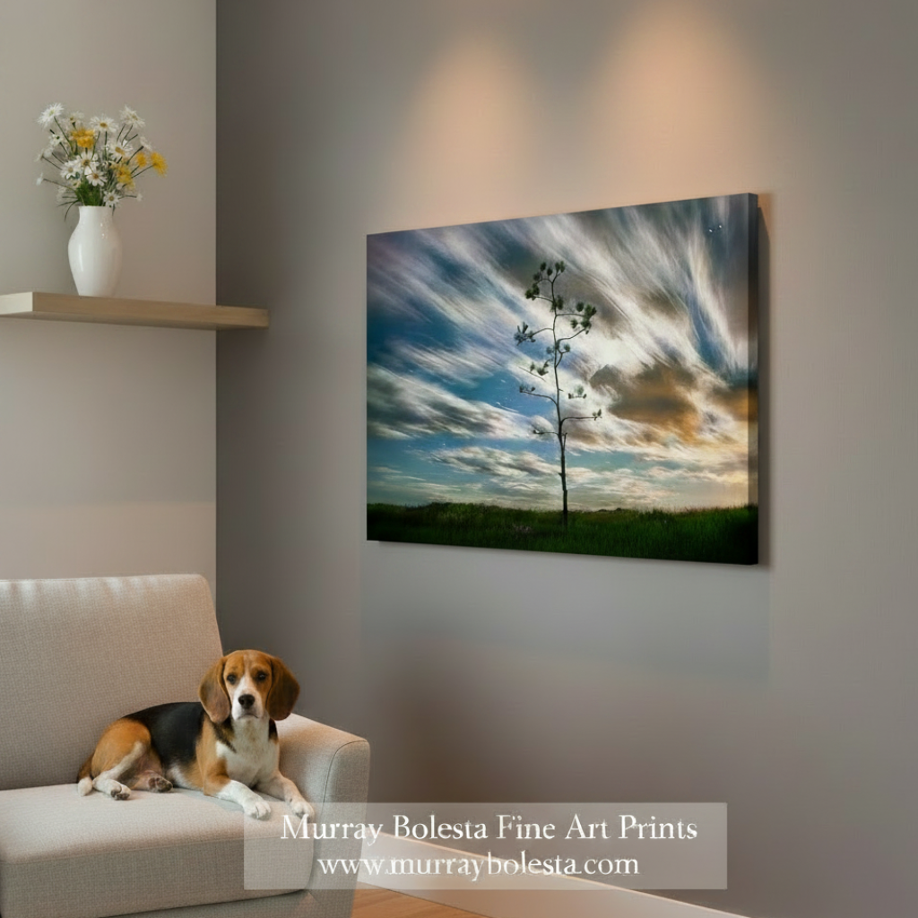 A square canvas wall art print showing a lone tree against a dramatic streaked sky, displayed on a gray wall in a styled room with a beige armchair, a dog, and a shelf with flowers. A watermark at the bottom reads 'Murray Bolesta Fine Art Prints'.