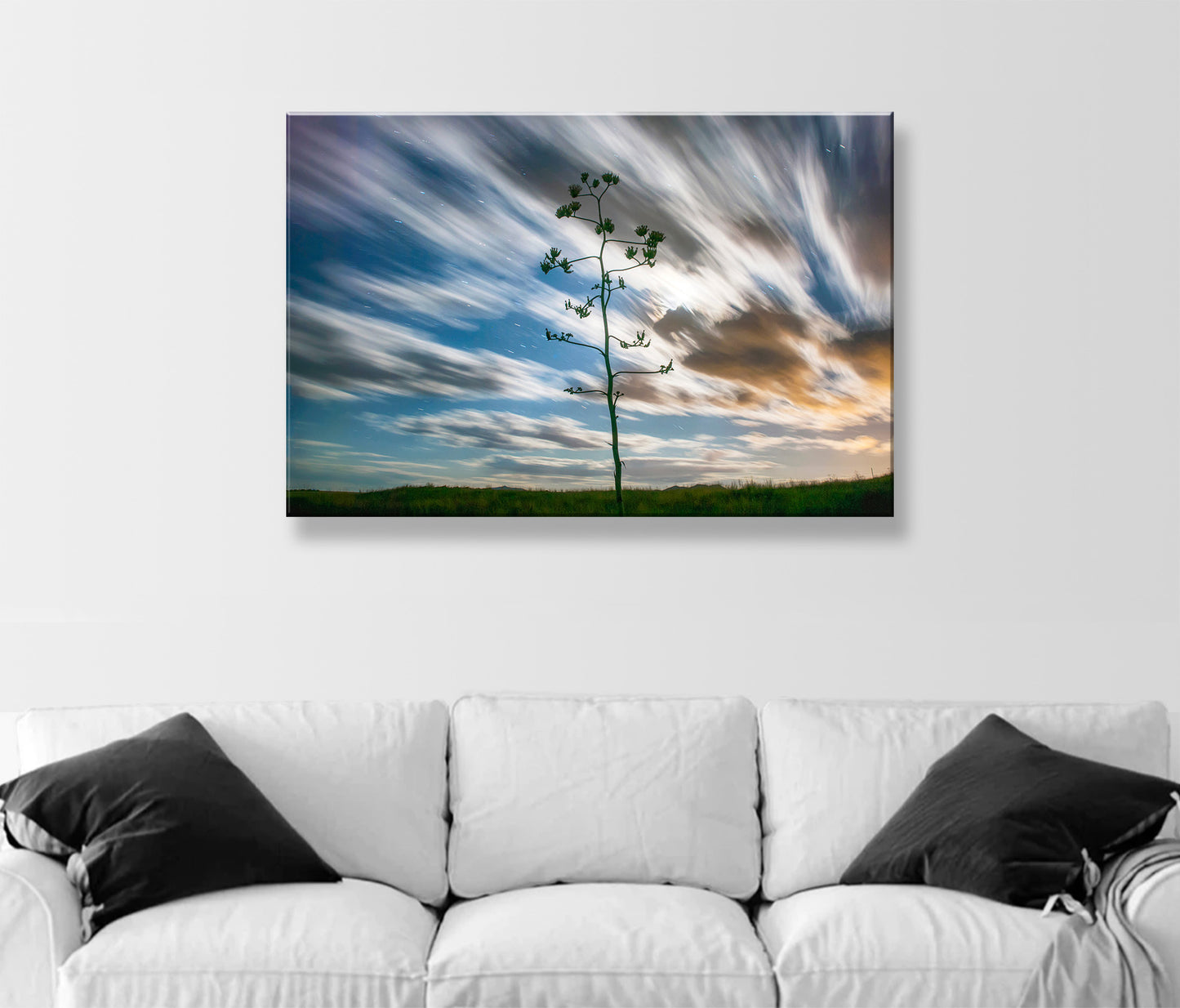 Desert Moon Night Photography with Arizona Agave Century Plant