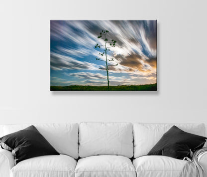 Desert Moon Night Photography with Arizona Agave Century Plant