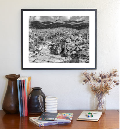 Desert Wall Decor with Black and White Tucson Arizona Landscape