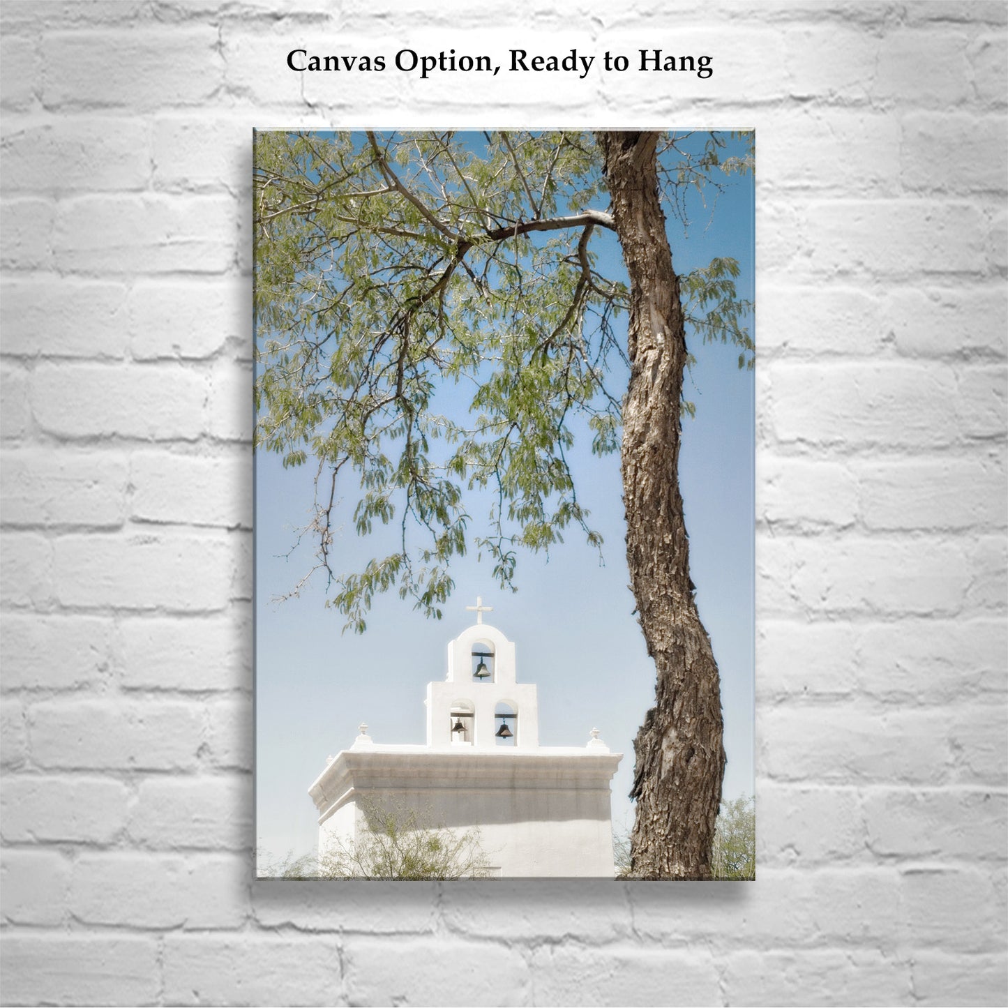 Wall Art with Chapel at San Xavier Mission in Tucson Arizona