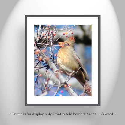 Cardinal Bird Nature Photo Print as Avian Wall Decor