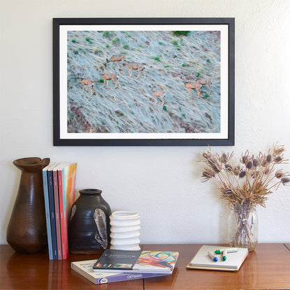 Painterly Wildlife Photography with Herd of Arizona Deer at Muleshoe Ranch