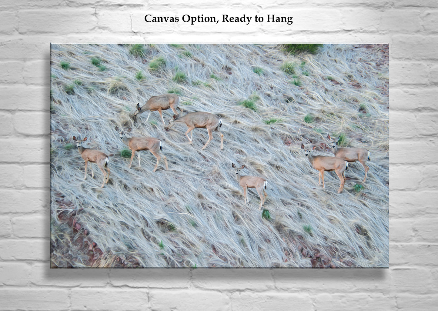 Painterly Wildlife Photography with Herd of Arizona Deer at Muleshoe Ranch