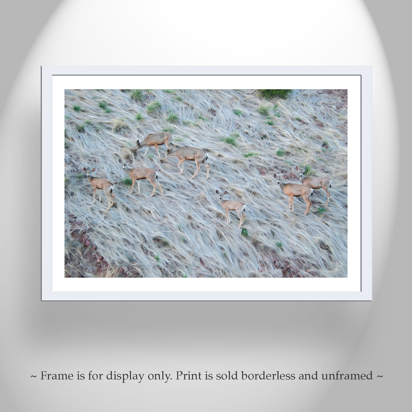 Painterly Wildlife Photography with Herd of Arizona Deer at Muleshoe Ranch