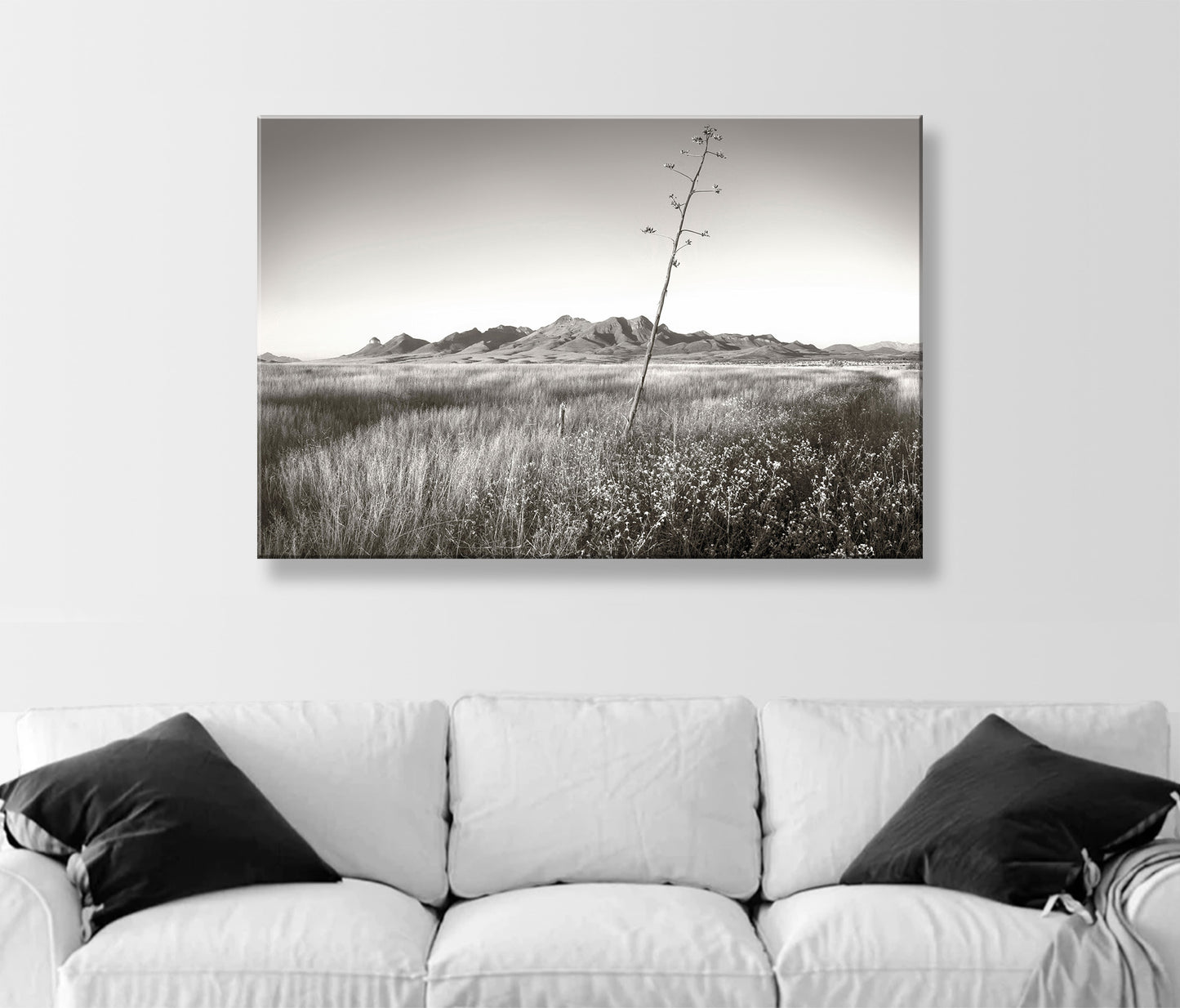 Western Landscape Wall Decor with Southern Arizona Grasslands