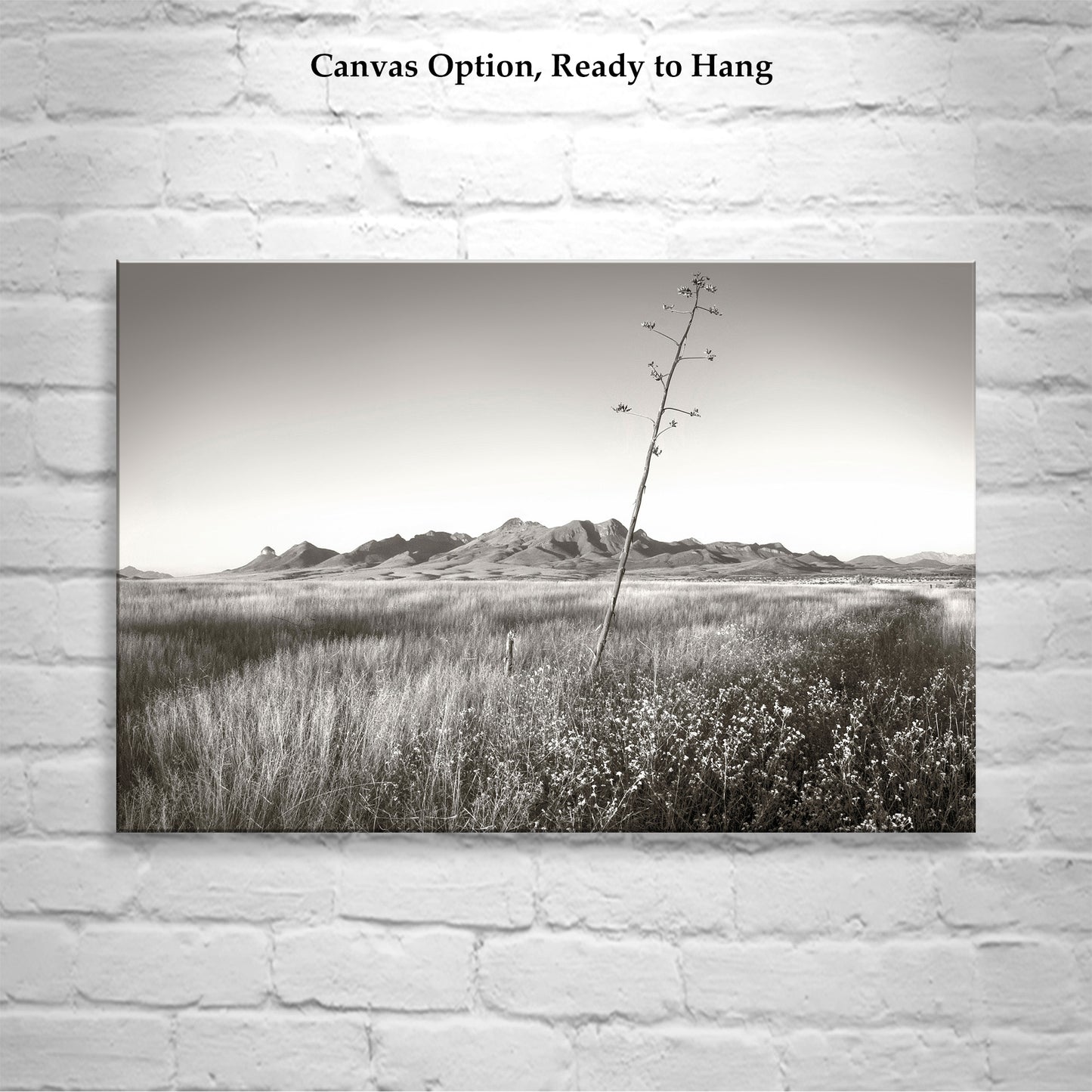 Western Landscape Wall Decor with Southern Arizona Grasslands