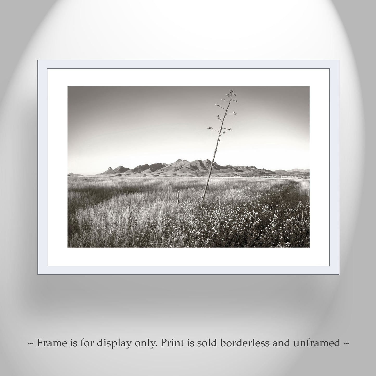 Western Landscape Wall Decor with Southern Arizona Grasslands