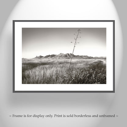 Western Landscape Wall Decor with Southern Arizona Grasslands