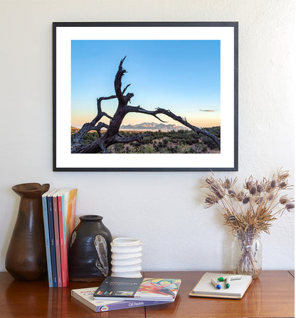 Western Wall Decor | Fine Art Arizona Landscape & Deadwood Silhouette