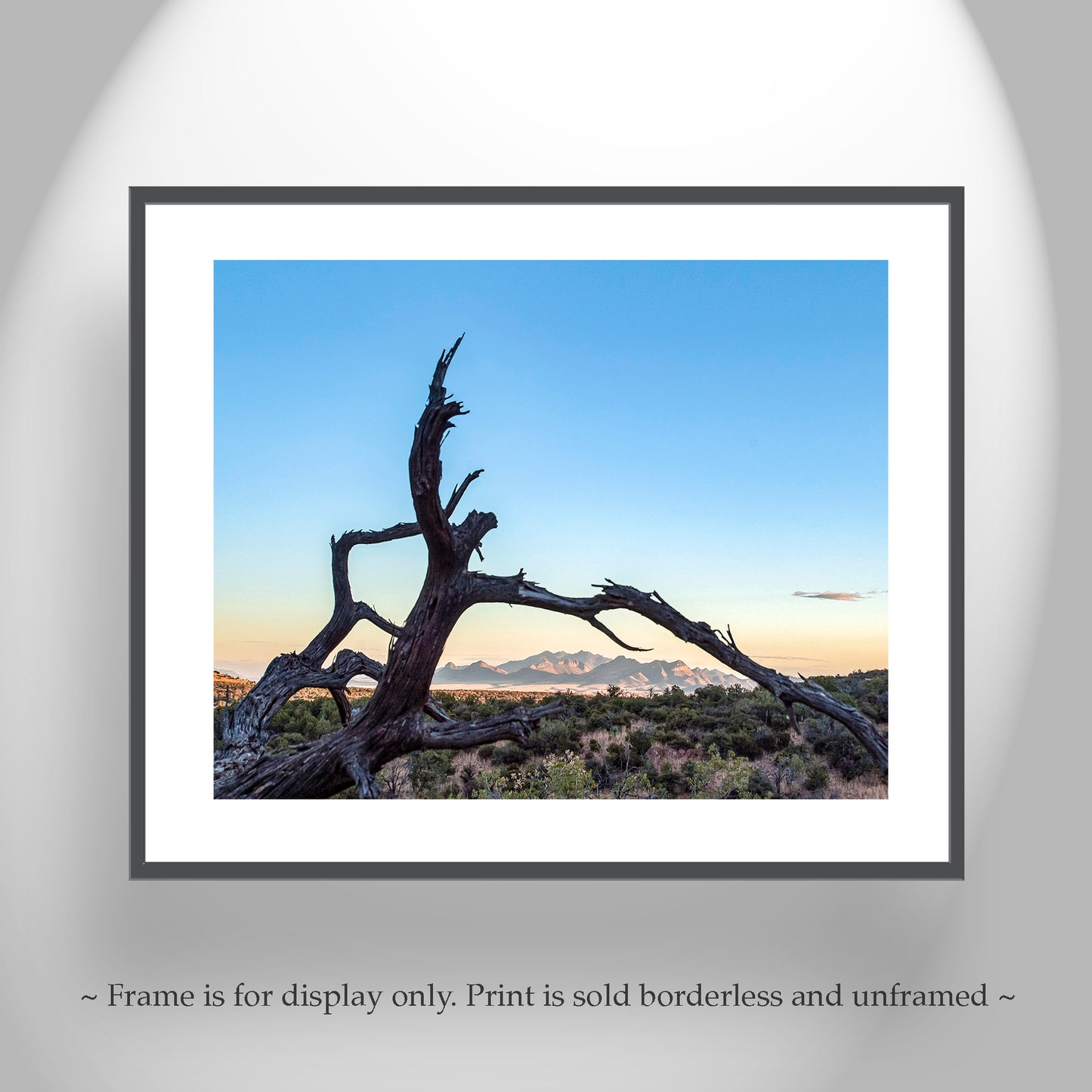 Western Wall Decor | Fine Art Arizona Landscape & Deadwood Silhouette