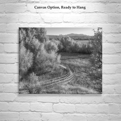 Wetlands Landscape Photo in Black and White with Grasslands Trail