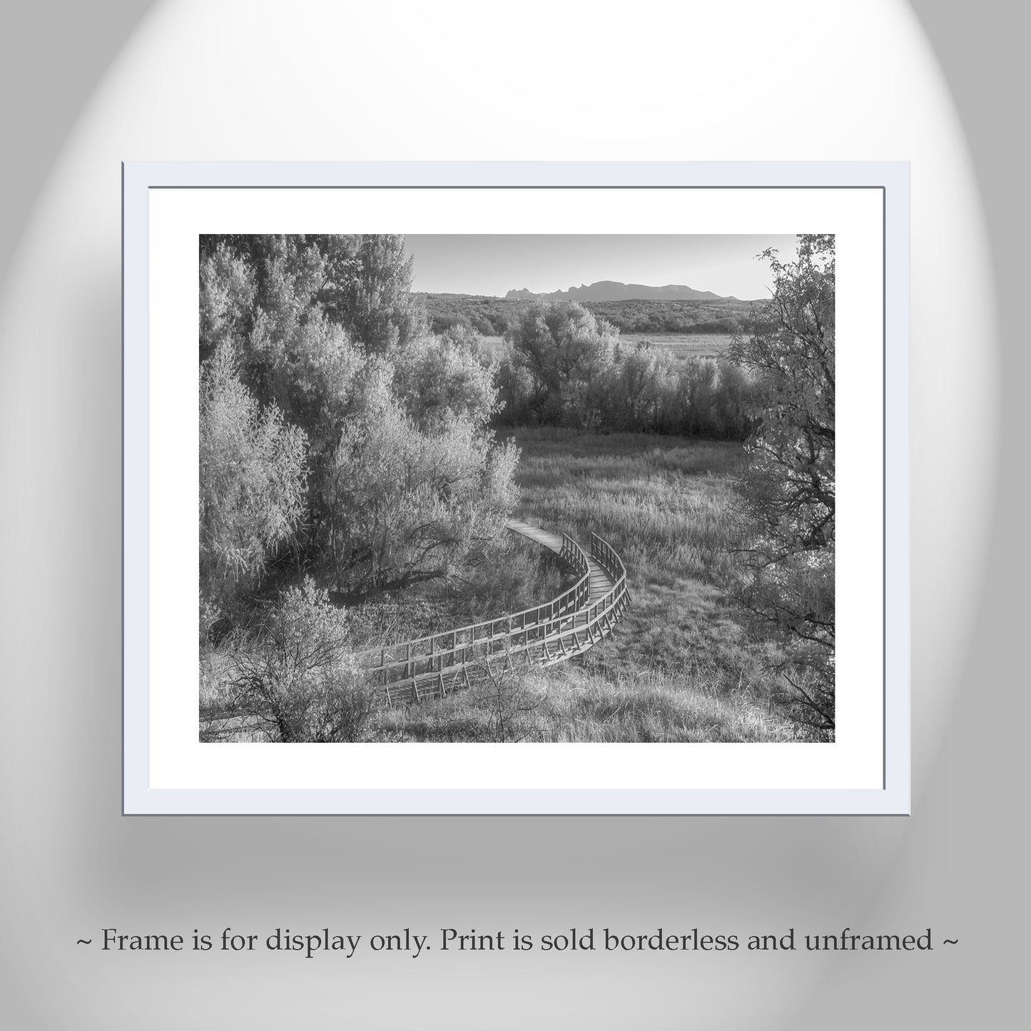 Wetlands Landscape Photo in Black and White with Grasslands Trail