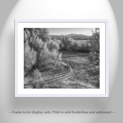Wetlands Landscape Photo in Black and White with Grasslands Trail