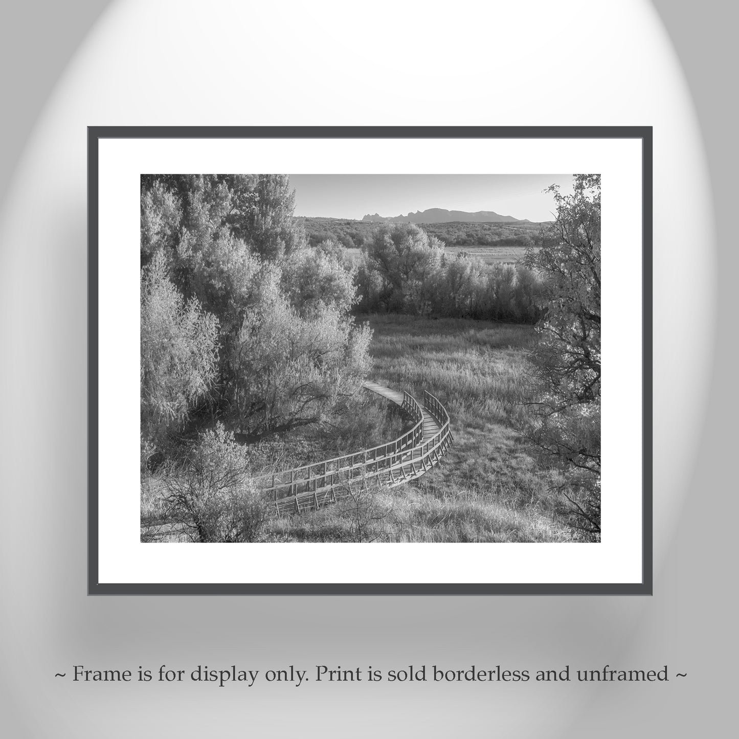 Wetlands Landscape Photo in Black and White with Grasslands Trail