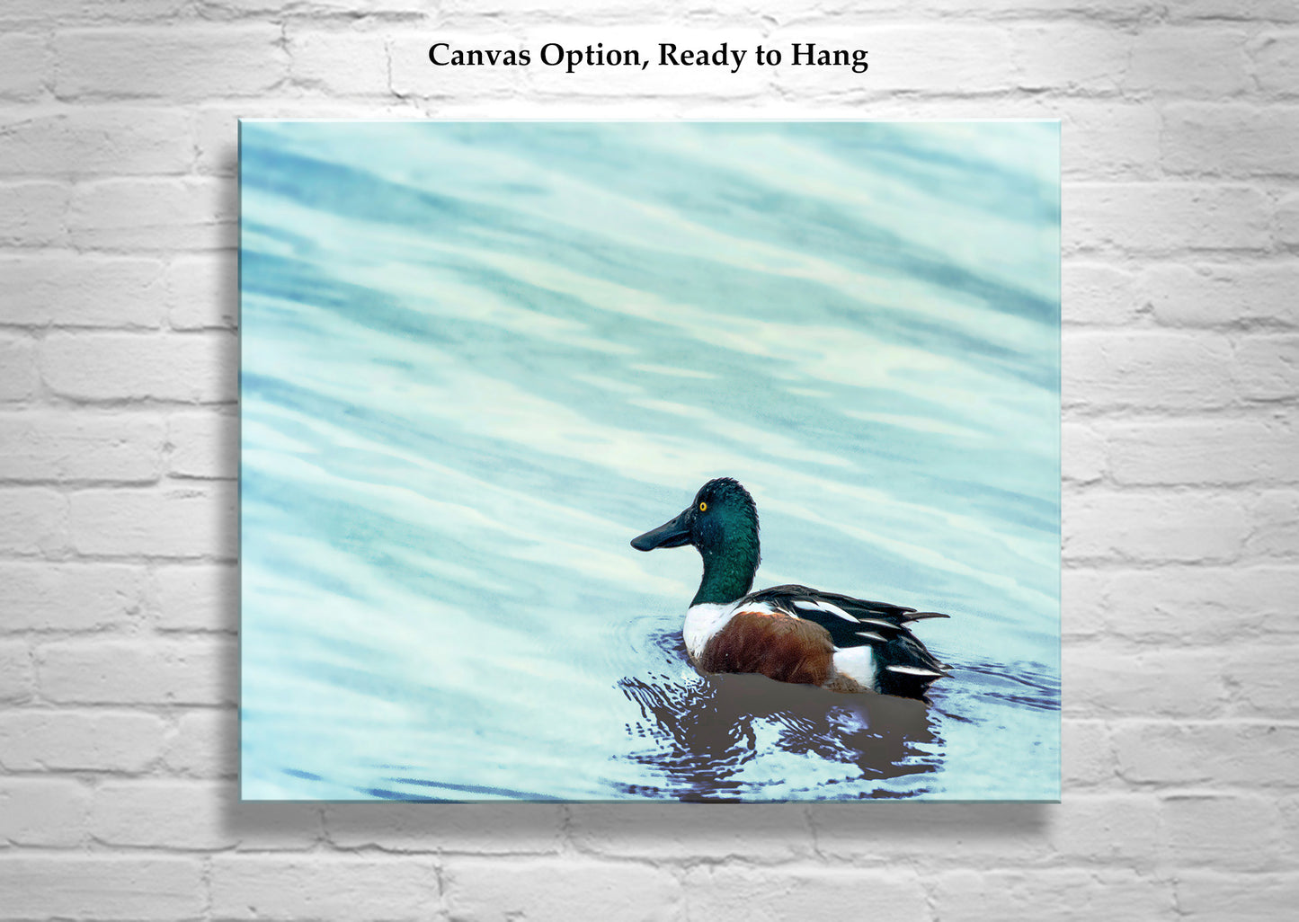 Minimalist Duck Bird Art Print as Wildlife Wall Decor