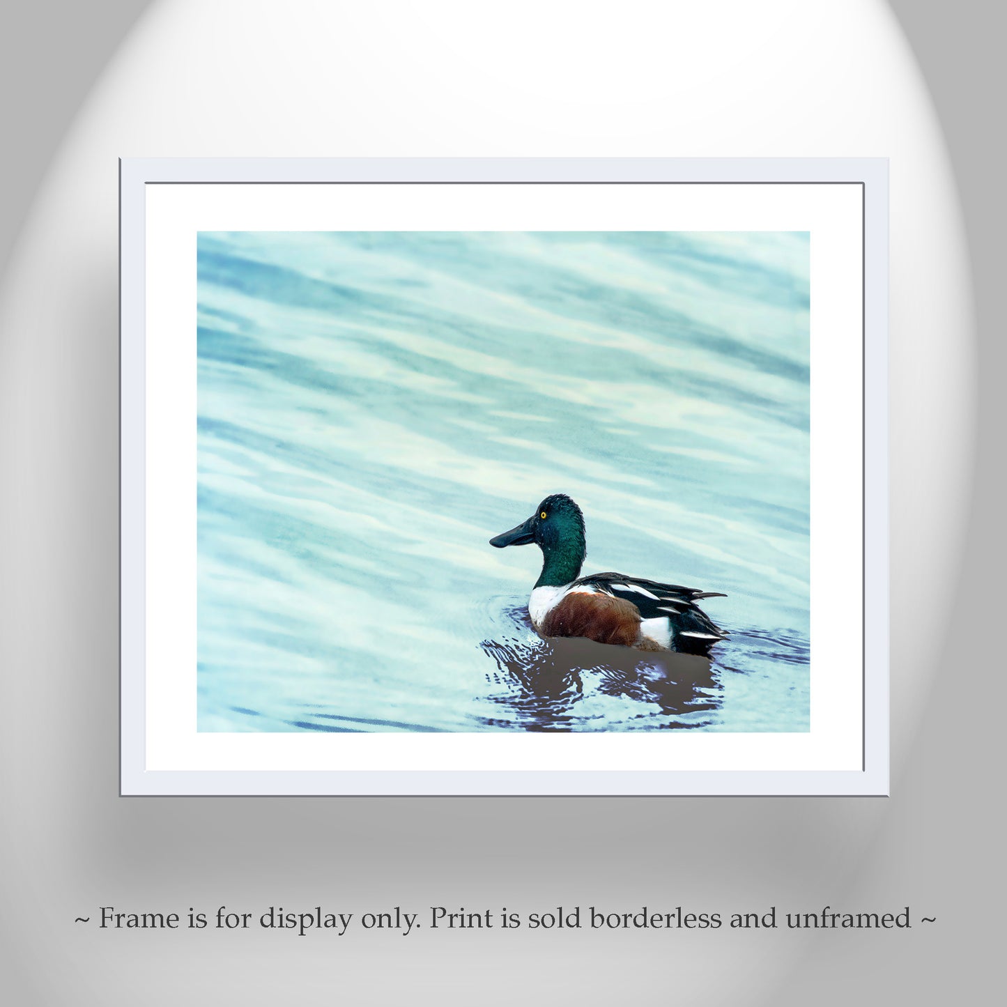 Minimalist Duck Bird Art Print as Wildlife Wall Decor