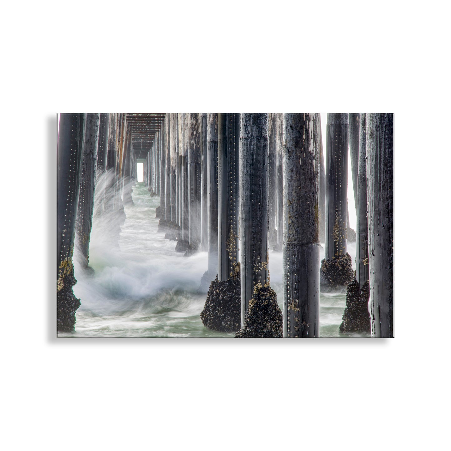Mystical forest scene with tall trees and a path disappearing into the distance. Oceanside California Wall Art with Ocean Pier in Black & White