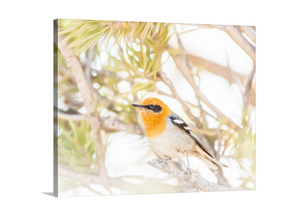 Bird Photography Bright Nature Wall Decor with Pretty Olive Warbler