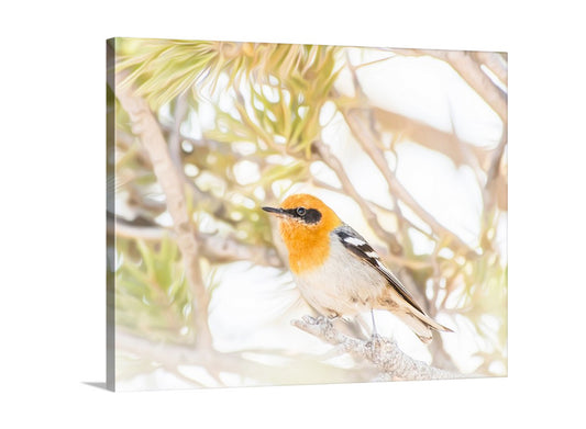 Bird Photography Bright Nature Wall Decor with Pretty Olive Warbler