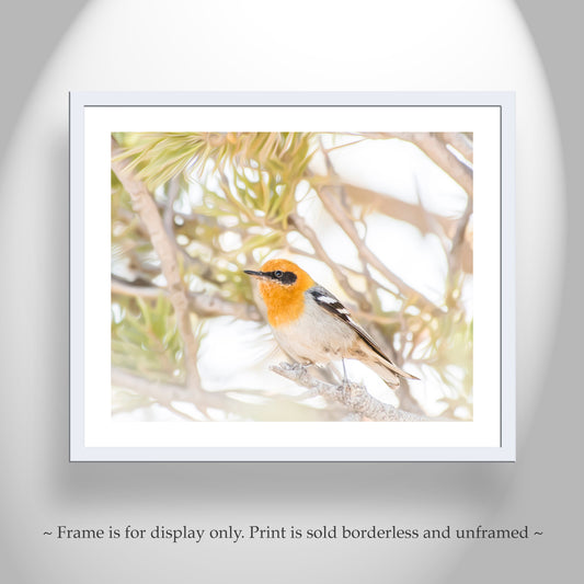 Bird Photography Bright Nature Wall Decor with Pretty Olive Warbler