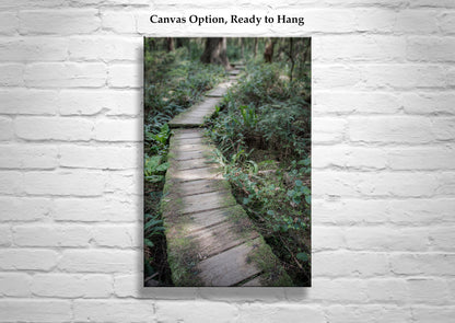 Washington State Photograph with Pacific Northwest Forest as Art Gift for Hiker