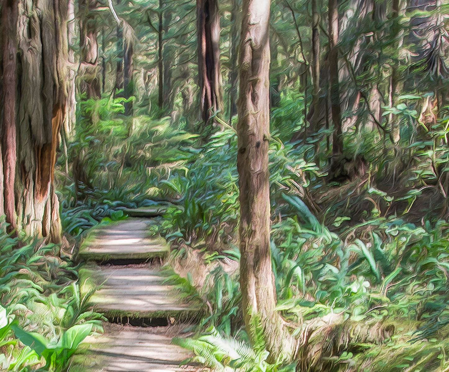 Olympic National Park Forest Hiking Art in Washington State Pacific Northwest