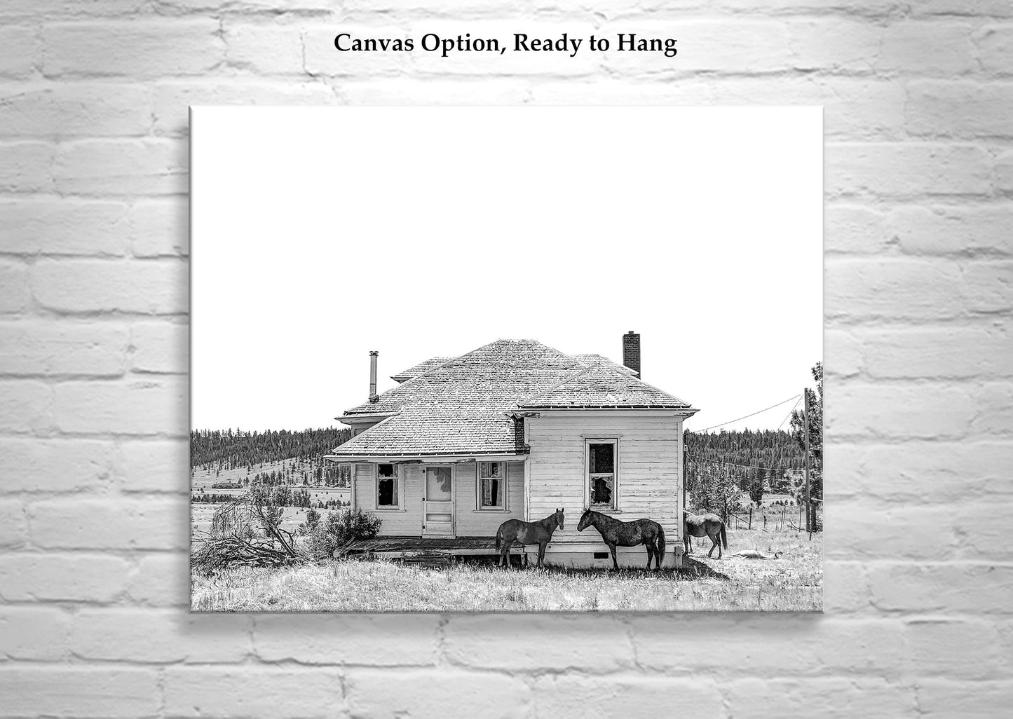 Surreal Horse Farm Print | Eastern Oregon Fine Art Photography