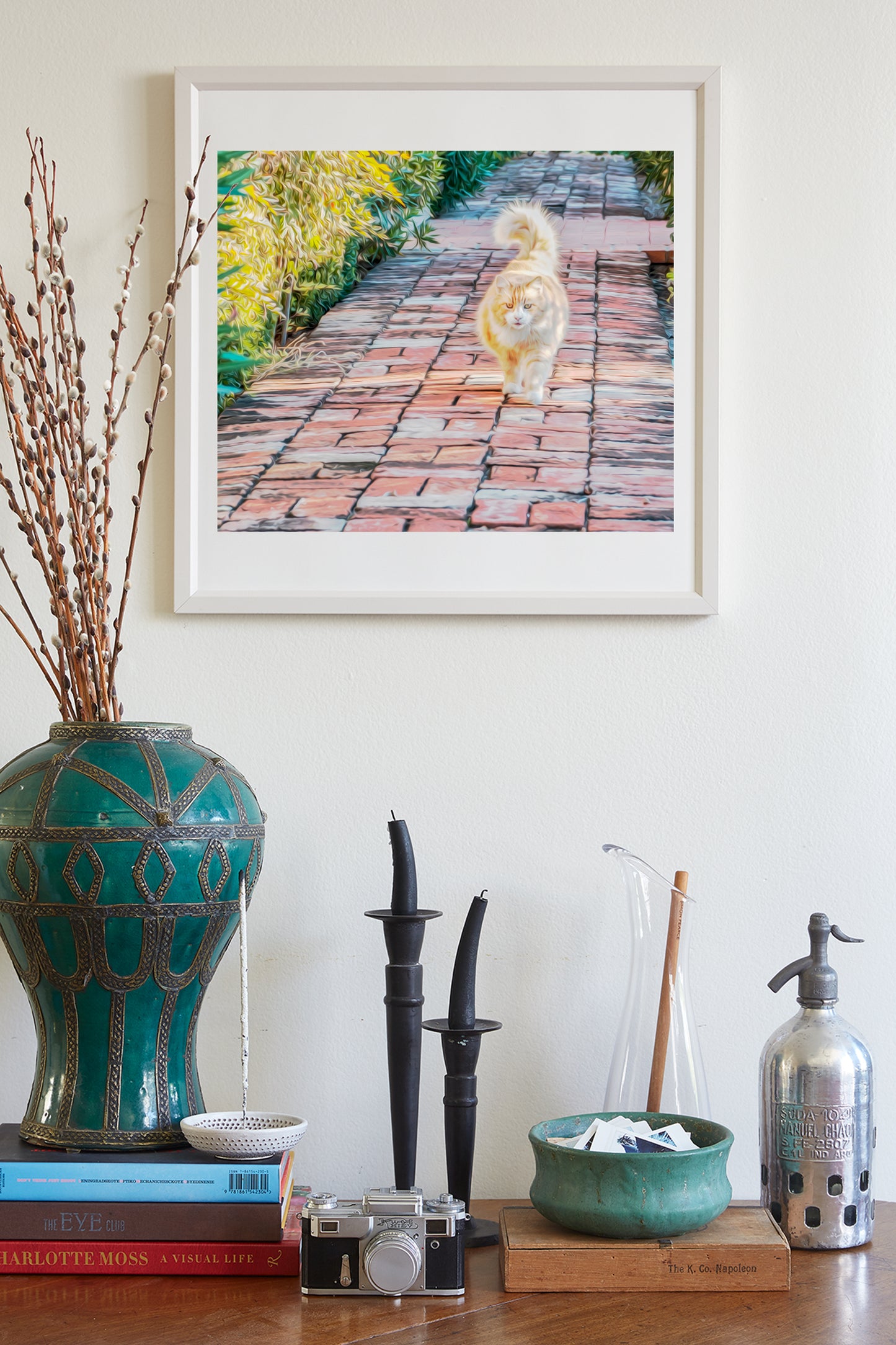 Cat Picture as Wall Art for Animal Lovers | Tucson Arizona Barrio
