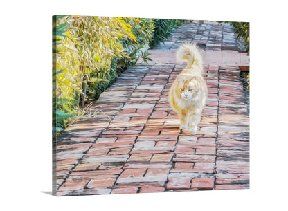 Nice kitty! An orange street cat on a vintage brick path in the Old Pueblo of Tucson Arizona, planet Earth. Original, unique signed art by Murray Bolesta.