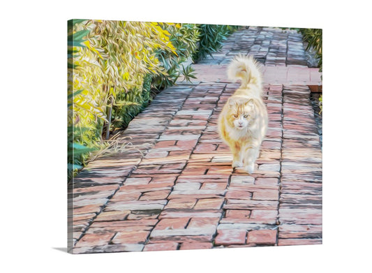 Nice kitty! An orange street cat on a vintage brick path in the Old Pueblo of Tucson Arizona, planet Earth. Original, unique signed art by Murray Bolesta.