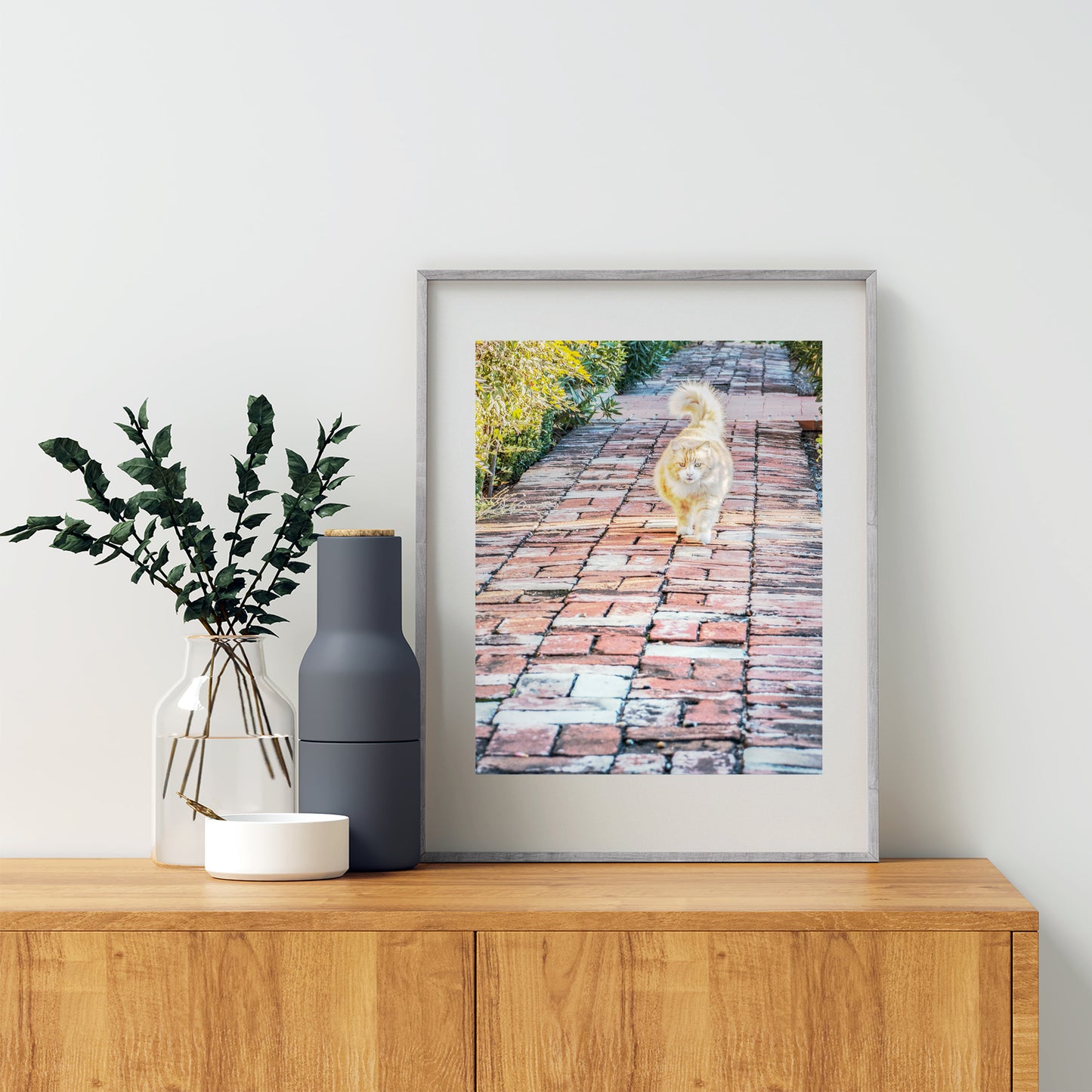 Cat Lover Wall Decor with Orange Cat in Tucson Arizona Barrio Viejo Street