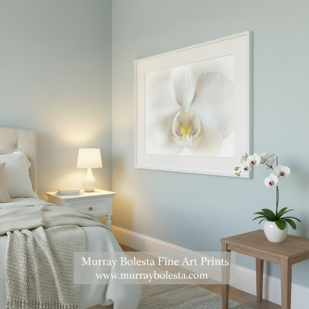 Close-up of a white orchid flower on a white background. White Orchid Art Print as Framed Floral Wall Decor by Murray Bolesta