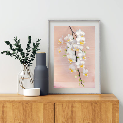 Orchid Flower Photography Art Print | Elegant Botanical Decor