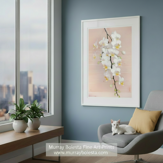 White orchids on a pink background. Orchid Flower Photography Art Print | Elegant Floral Wall Decor by Murray Bolesta