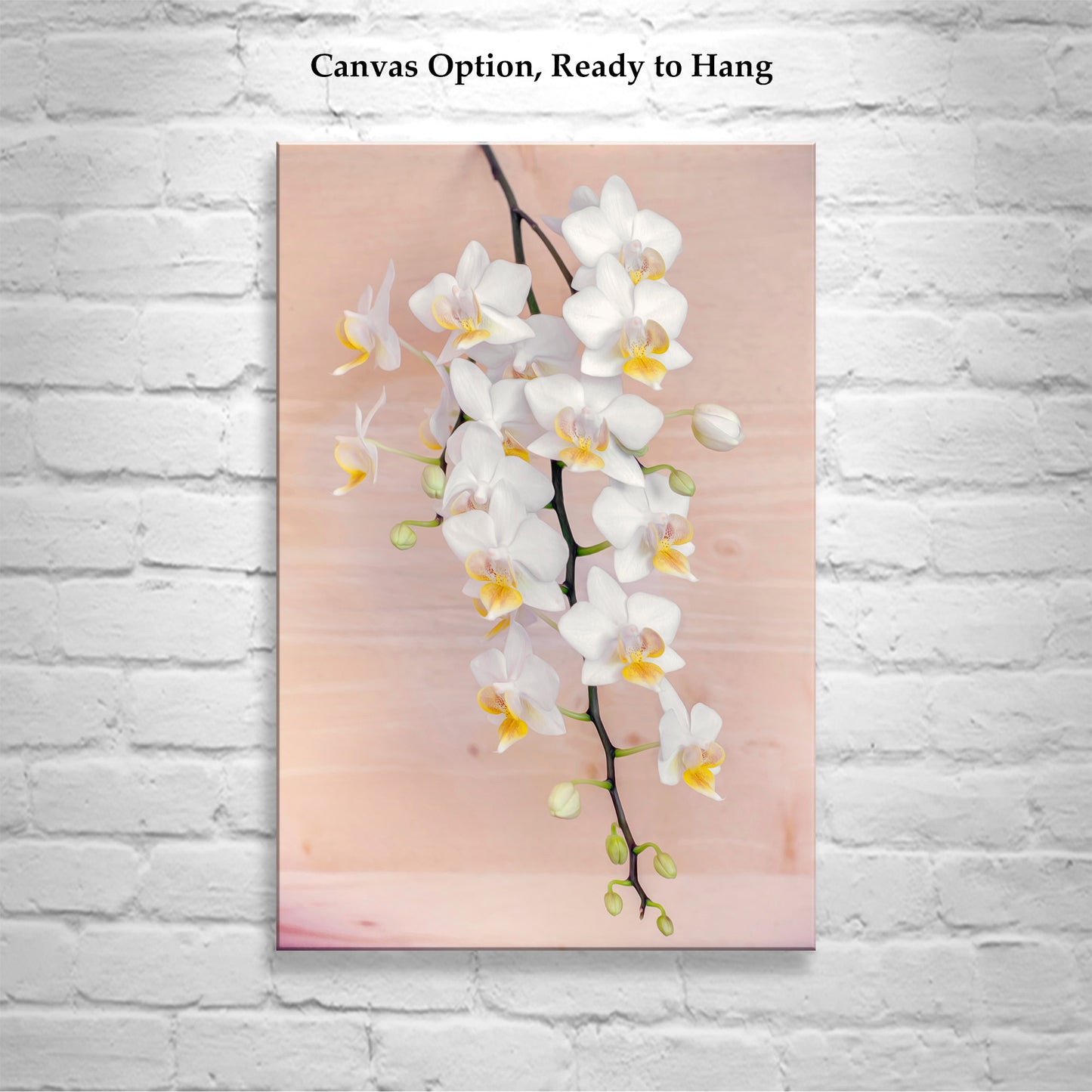 Orchid Flower Photography Art Print | Elegant Botanical Decor