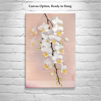 Orchid Flower Photography Art Print | Elegant Botanical Decor