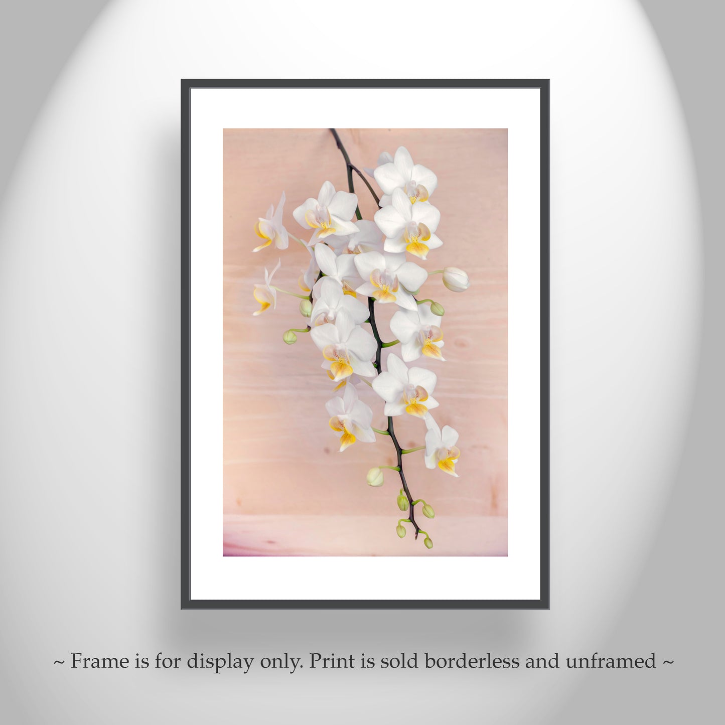 Orchid Flower Photography Art Print | Elegant Botanical Decor