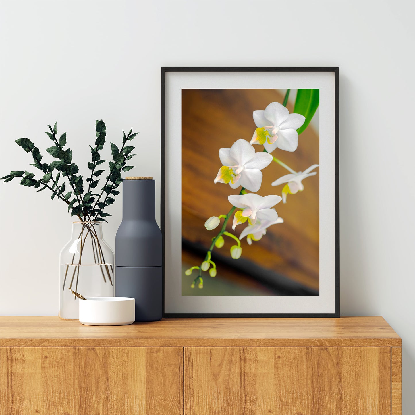 White Orchid Flower High Contrast Fine Art Print
