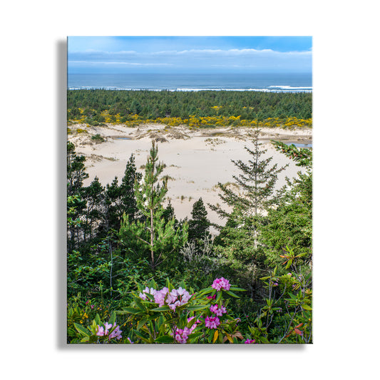 Scenic view of a forested area with a beach and ocean in the background. Beautiful Oregon art! My outstanding Oregon Dunes art print for your walls, complete with wildflowers and Pacific Ocean view for your pleasure. This is Oregon Dunes National Recreation Area near Coos Bay Oregon USA. It's a unique place with extensive coastal dunes, mist-shrouded forest and wild seascapes! Original, unique signed art by Murray Bolesta.